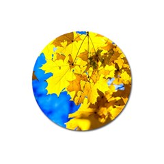 Yellow Maple Leaves Magnet 3  (round) by FunnyCow