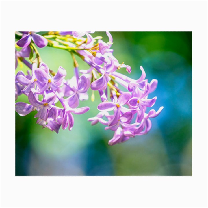 Beautiful Pink Lilac Flowers Small Glasses Cloth (2-Side)