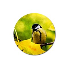 Tomtit Bird Dressed To The Season Magnet 3  (round) by FunnyCow