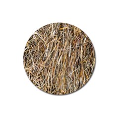 Dry Hay Texture Magnet 3  (round) by FunnyCow