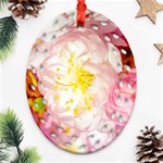 Pink Flowering Almond Flowers Ornament (Oval Filigree) Front