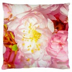 Pink Flowering Almond Flowers Large Cushion Case (one Side) by FunnyCow