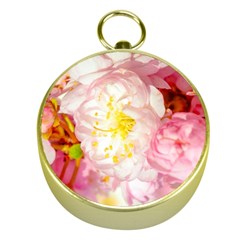 Pink Flowering Almond Flowers Gold Compasses by FunnyCow