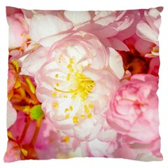 Pink Flowering Almond Flowers Large Flano Cushion Case (one Side) by FunnyCow