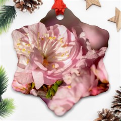 Beautiful Flowering Almond Snowflake Ornament (two Sides) by FunnyCow