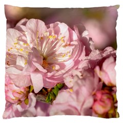 Beautiful Flowering Almond Large Cushion Case (one Side) by FunnyCow