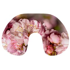 Beautiful Flowering Almond Travel Neck Pillows by FunnyCow