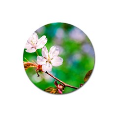 Sakura Flowers On Green Magnet 3  (round) by FunnyCow