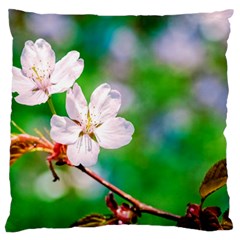 Sakura Flowers On Green Large Flano Cushion Case (one Side) by FunnyCow