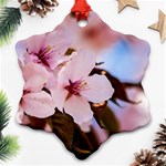 Three Sakura Flowers Ornament (Snowflake) Front