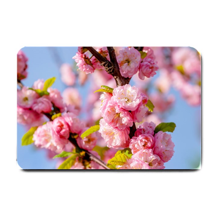 Flowering Almond Flowersg Small Doormat 