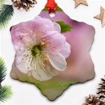 Single Almond Flower Ornament (Snowflake) Front