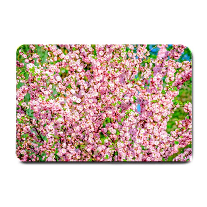 Almond Tree In Bloom Small Doormat 