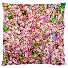 Almond Tree In Bloom Large Cushion Case (two Sides) by FunnyCow