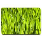 Agricultural field   Large Doormat  30 x20  Door Mat