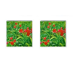 Red Flowers And Green Plants At Outdoor Garden Cufflinks (square) by dflcprintsclothing