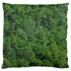 Leafy Forest Landscape Photo Large Cushion Case (two Sides) by dflcprintsclothing