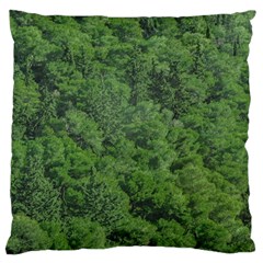 Leafy Forest Landscape Photo Standard Flano Cushion Case (one Side) by dflcprintsclothing