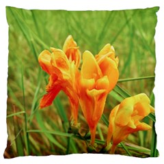 Orange On The Green Large Cushion Case (one Side) by DimitriosArt