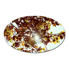 Golden Leaf s Oval Magnet by DimitriosArt