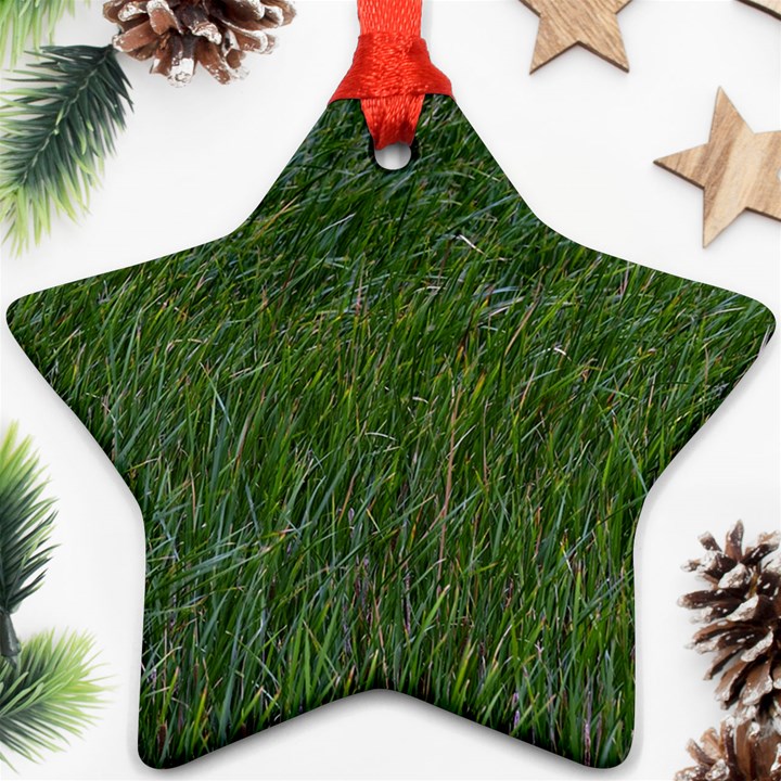 Simply green Ornament (Star)