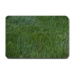 Simply green Small Doormat  24 x16  Door Mat