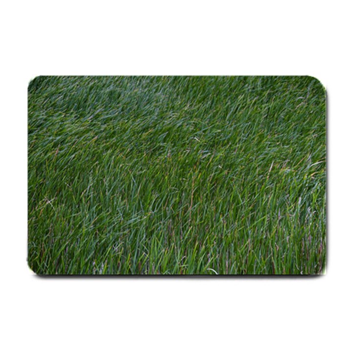 Simply green Small Doormat 