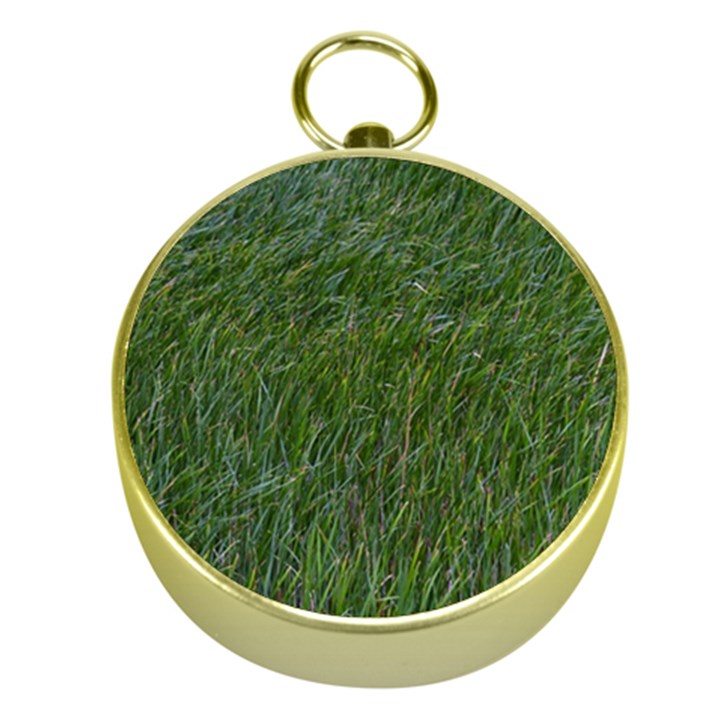 Green carpet Gold Compasses