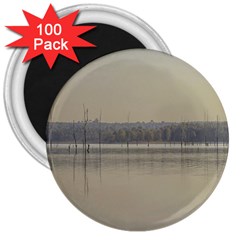 Grande Stream Landscape, Flores-soriano, Uruguay 3  Magnets (100 Pack) by dflcprintsclothing