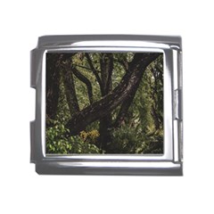 Botanical Motif Trees Detail Photography Mega Link Italian Charm (18mm) by dflcprintsclothing