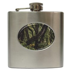 Botanical Motif Trees Detail Photography Hip Flask (6 Oz) by dflcprintsclothing