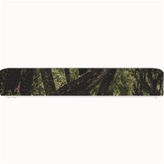 Botanical Motif Trees Detail Photography Small Bar Mat by dflcprintsclothing