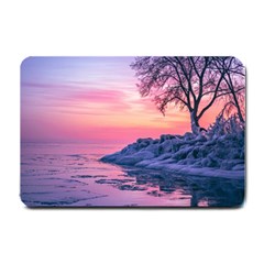 Tree Nature Plant Outdoors Ice Toronto Scenery Snow Small Doormat by uniart180623