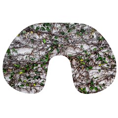 Climbing Plant At Outdoor Wall Travel Neck Pillow by dflcprintsclothing