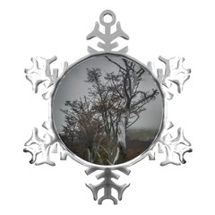 Nature s Resilience: Tierra Del Fuego Forest, Argentina Metal Small Snowflake Ornament by dflcprintsclothing