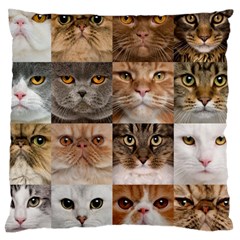 Breeds Of Cats Collage Large Premium Plush Fleece Cushion Case (two Sides) by kyorashop23