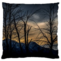 Tree Silhouette At Border Of Nahuel Haupi Lake, Rio Negro, Argentina Standard Premium Plush Fleece Cushion Case (one Side) by dflcprintsclothing